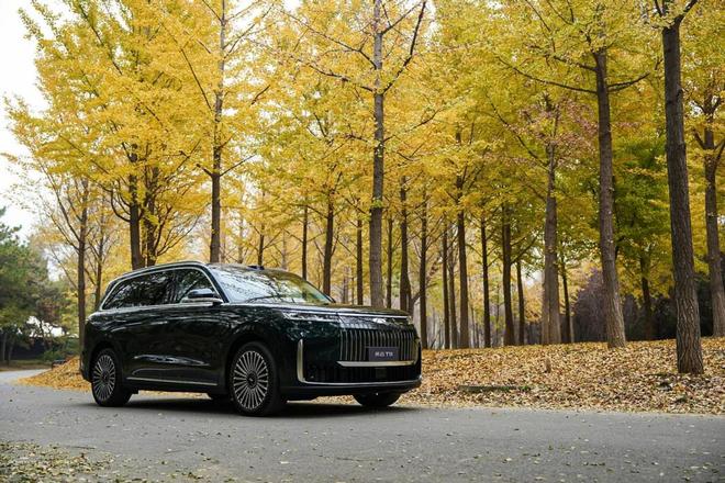 域安全价格亲民定义六座SUV新价值开元棋牌风云T11：豪华配置加全(图3)